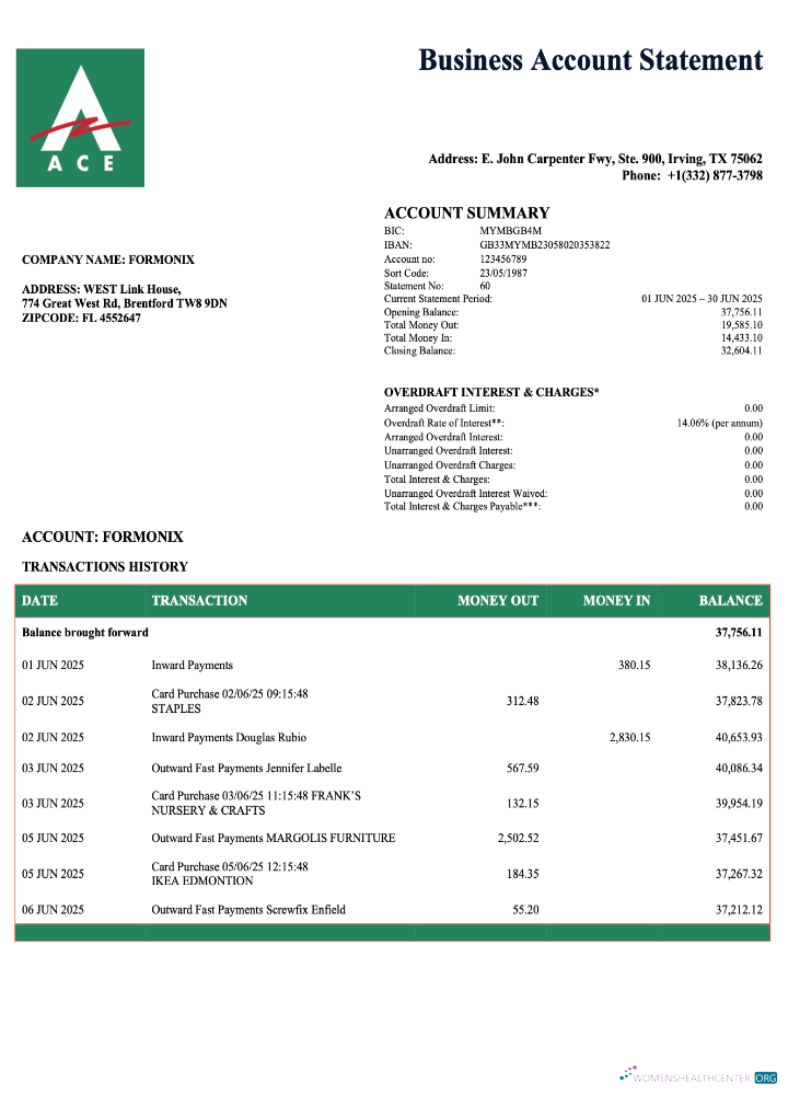 Download USA ACE business checking account statement Word and PDF template Photoshop template